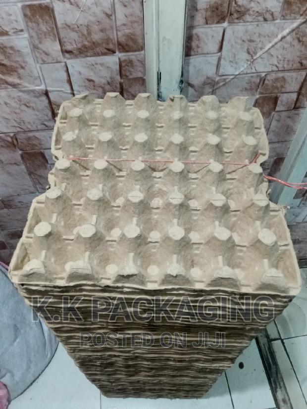 New Carton Egg Trays - main view