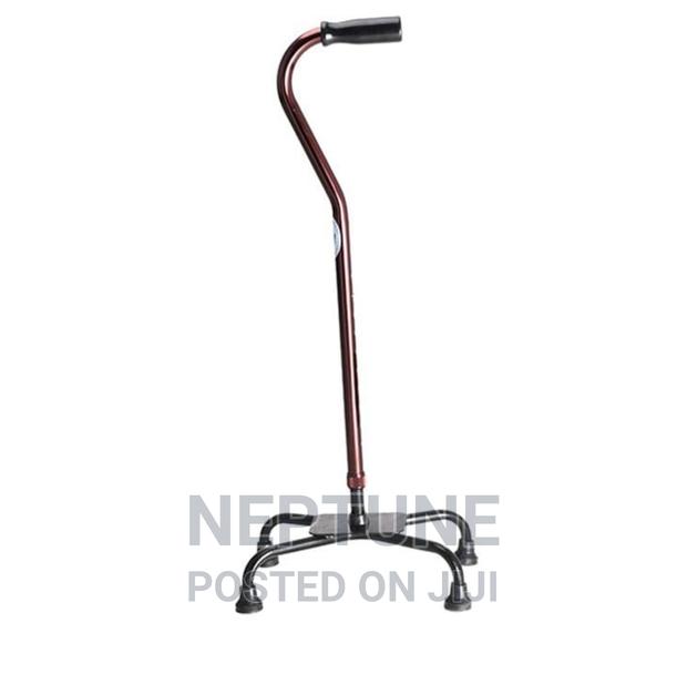 Walking Stick Quard
