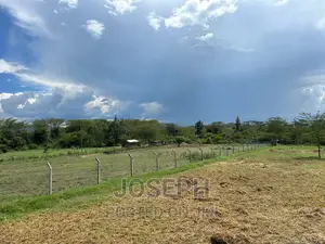 Elementaita 1acre With a Borehole