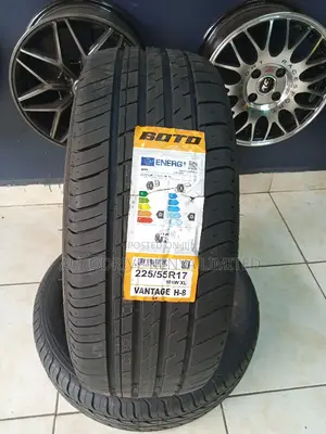 225/55r17 Boto Tyre