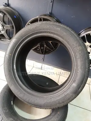 225/55r17 Boto Tyre