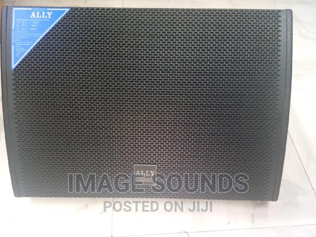 Monitor Speaker Ally M115 15" - main view