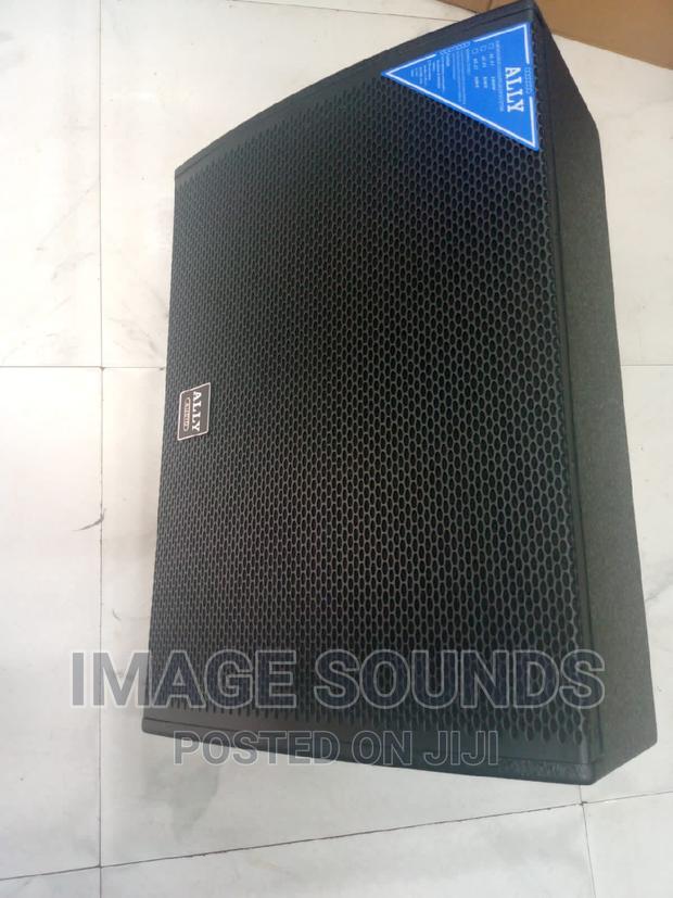 Monitor/Feedback Speaker 15inch Ally Audio - main view