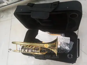 Cornet Suzuki Golden Color