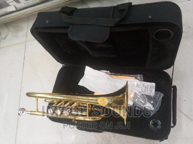 Cornet Suzuki Golden Color - main view