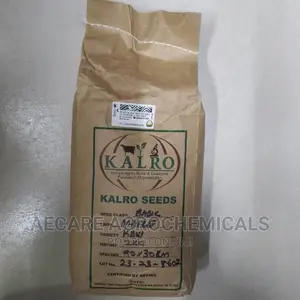 Kdv1 Maize Seeds (Kalro) 2kg
