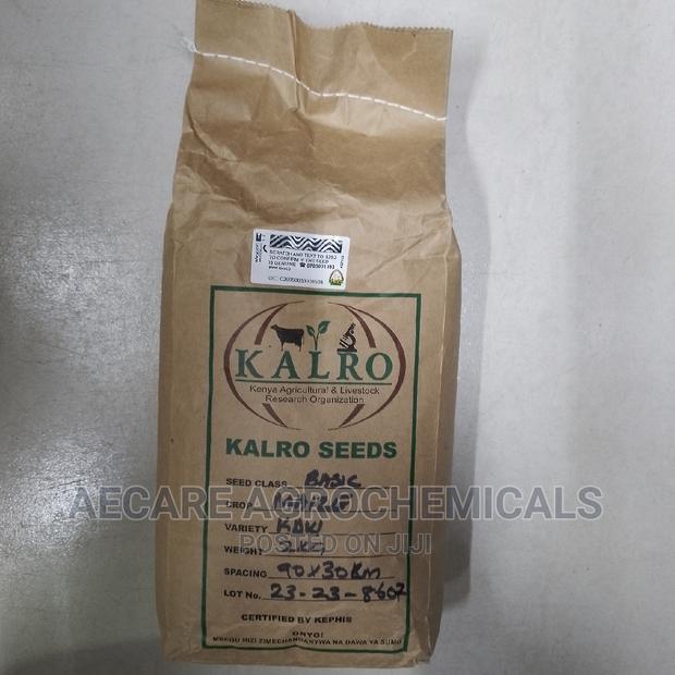 Kdv1 Maize Seeds (Kalro) 2kg
