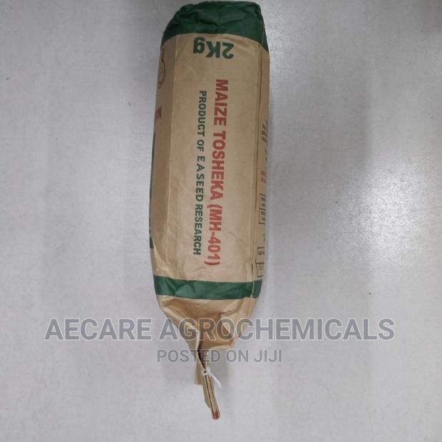 Maize Seeds Tosheka Mh - 401 2kg - thumbnail 8