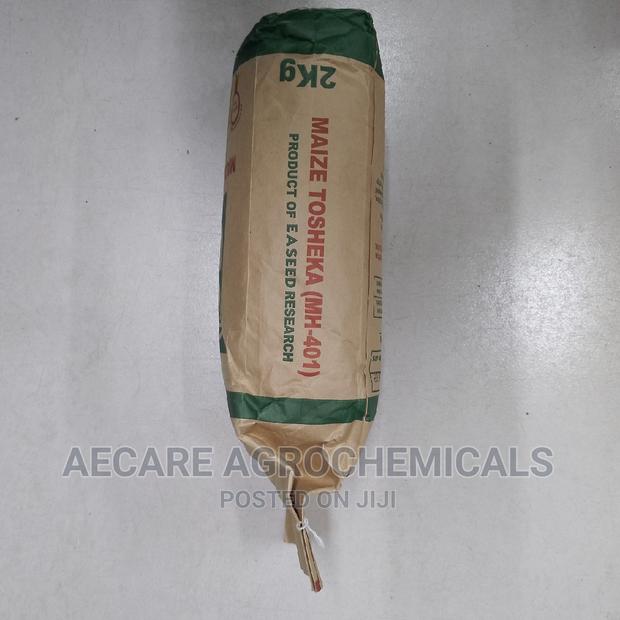 Maize Seeds Tosheka Mh - 401 2kg - thumbnail 11