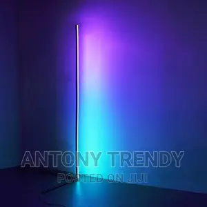 Smart Vertex and Dynamic Corner Floor Lamp