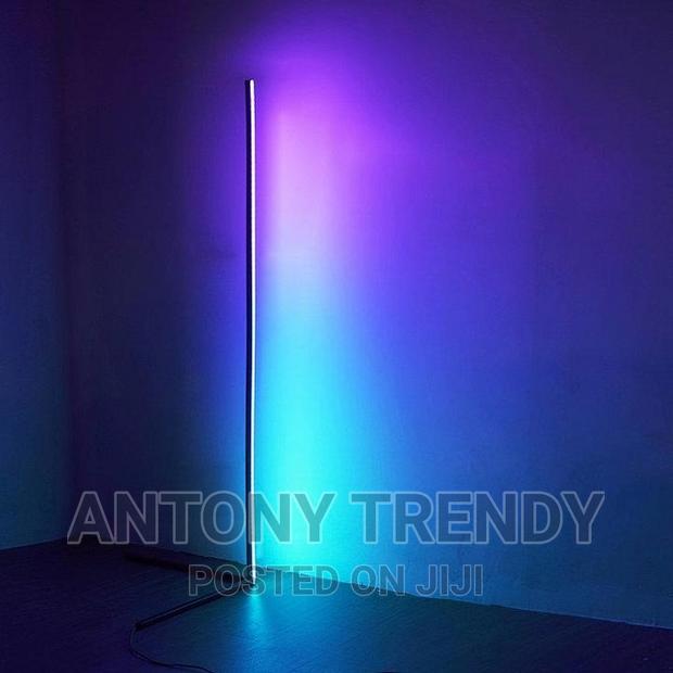 Smart Vertex and Dynamic Corner Floor Lamp - main view
