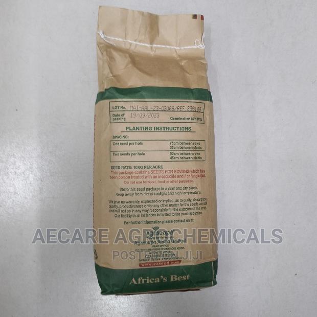 Maize Seeds Tosheka Mh - 401 2kg - thumbnail 4