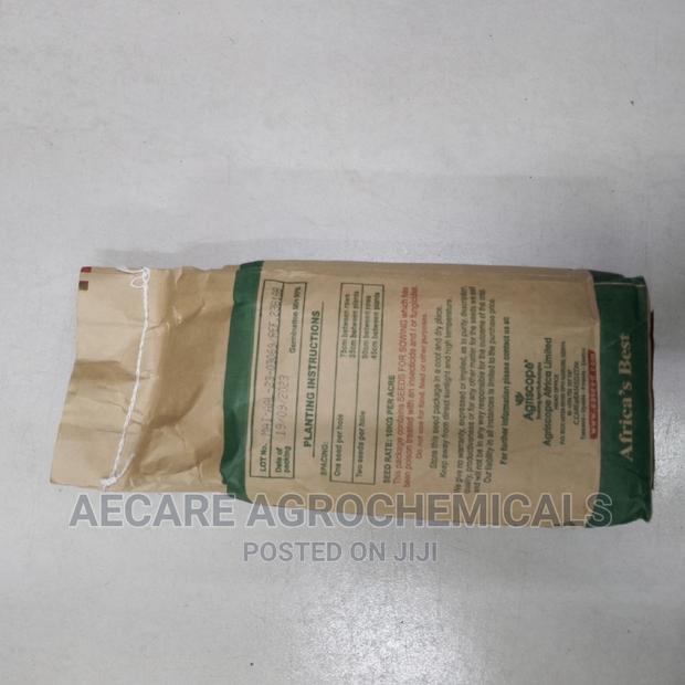 Maize Seeds Tosheka Mh - 401 2kg - thumbnail 7