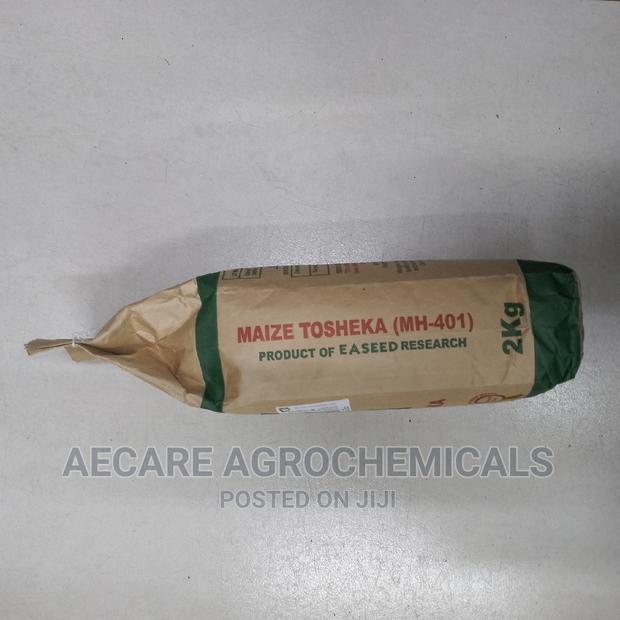 Maize Seeds Tosheka Mh - 401 2kg - thumbnail 9