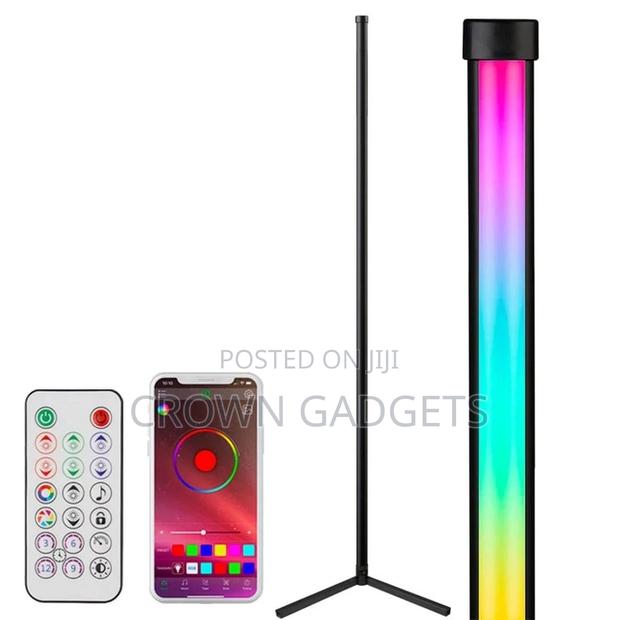 Smart Vertex and Dynamic Corner Floor Lamp - main view