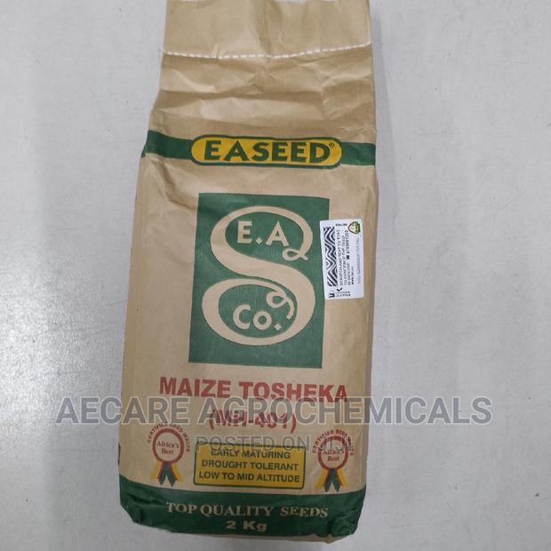 Maize Seeds Tosheka Mh - 401 2kg - thumbnail 10