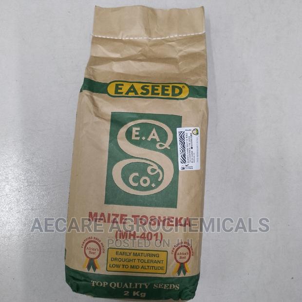 Maize Seeds Tosheka Mh - 401 2kg - thumbnail 12