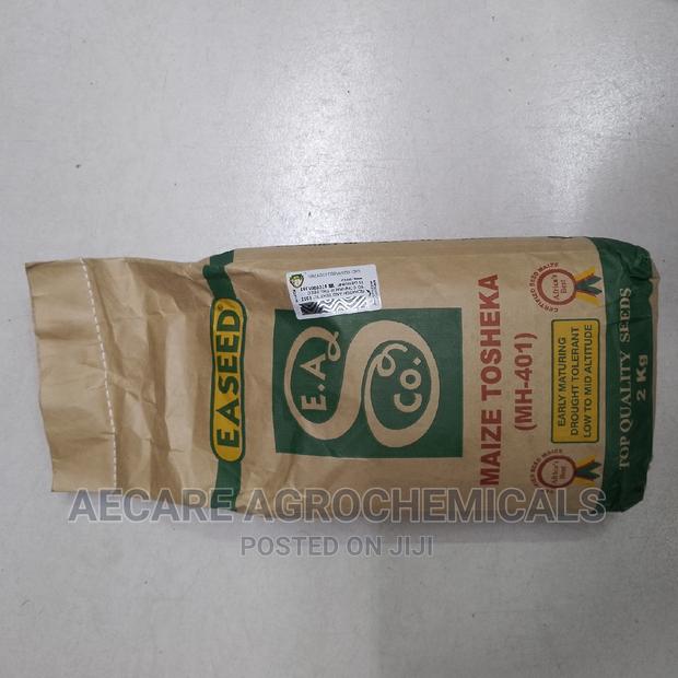 Maize Seeds Tosheka Mh - 401 2kg - thumbnail 13
