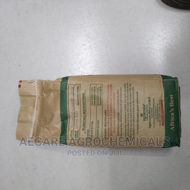 Maize Seeds Tosheka Mh - 401 2kg - thumbnail 6