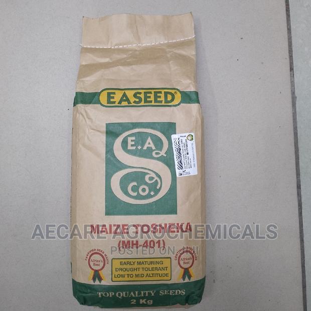 Maize Seeds Tosheka Mh - 401 2kg - thumbnail 3