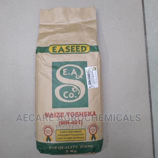 Maize Seeds Tosheka Mh - 401 2kg - thumbnail 5