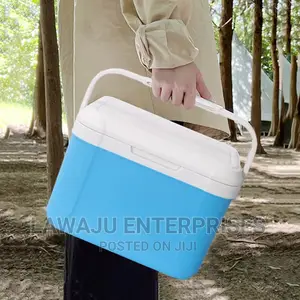 Portable Car Charged Cooler Box 30L