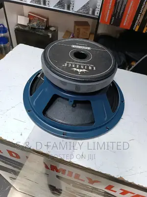 Kappa 12A Naked Speaker Eminence