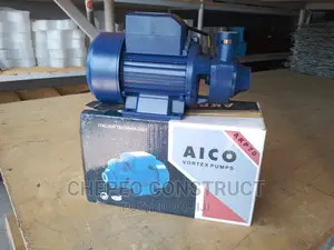 Italian Aico Water Pump