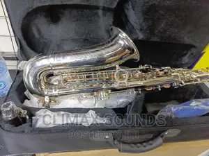 Alto Saxophone Suzuki Silver Japan
