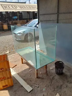 Large Fish Tanks