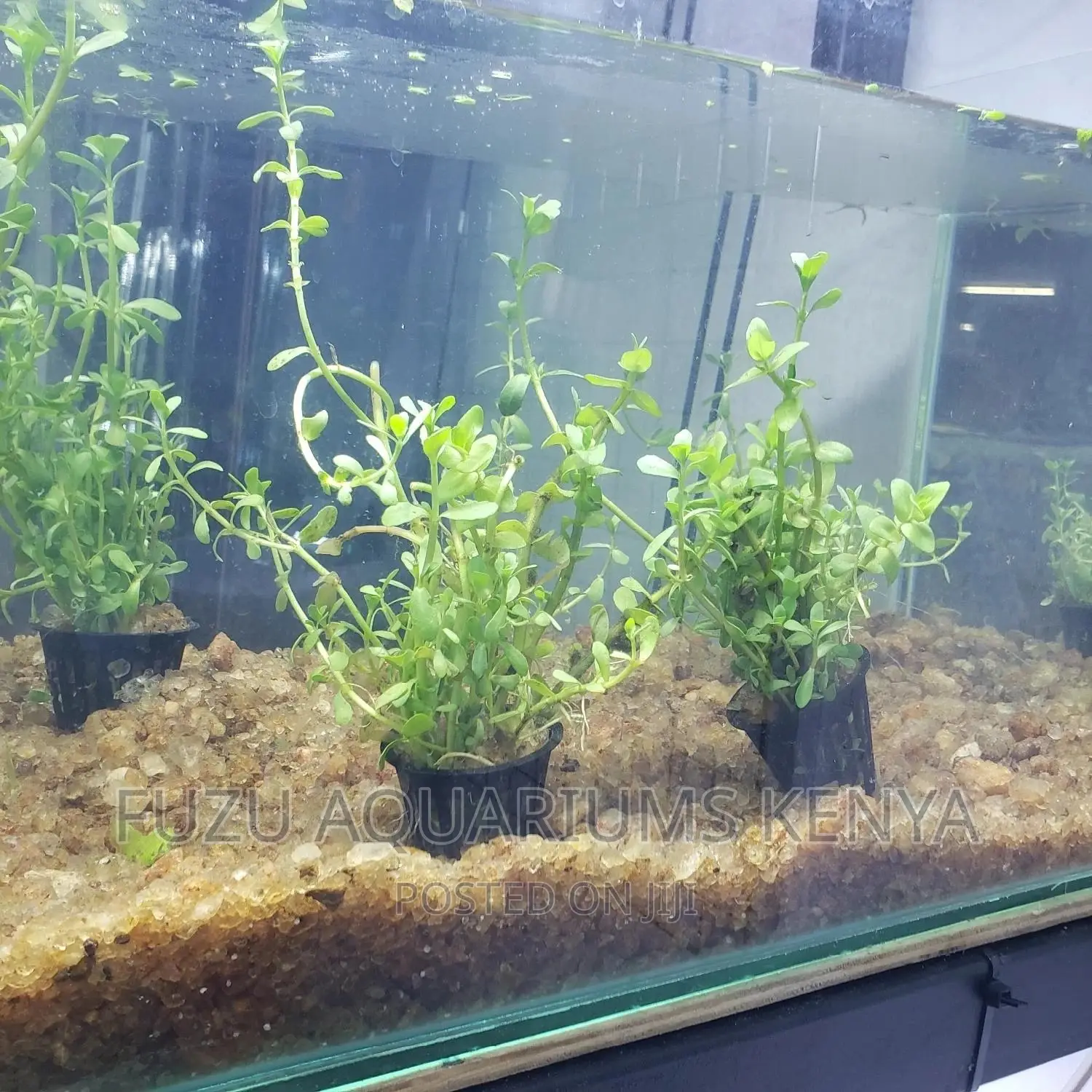 Brown Gravel for Aquariums