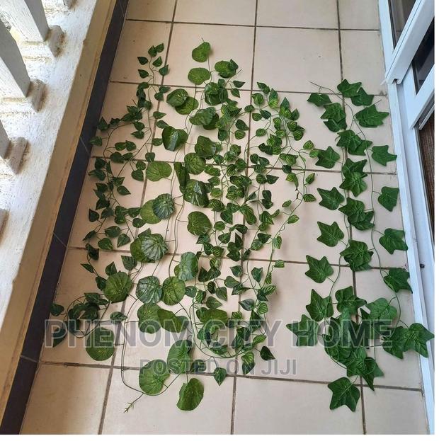 Decorative Vines