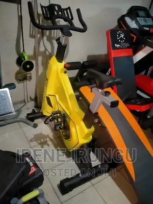 22 Fly Wheel, Spin Bike