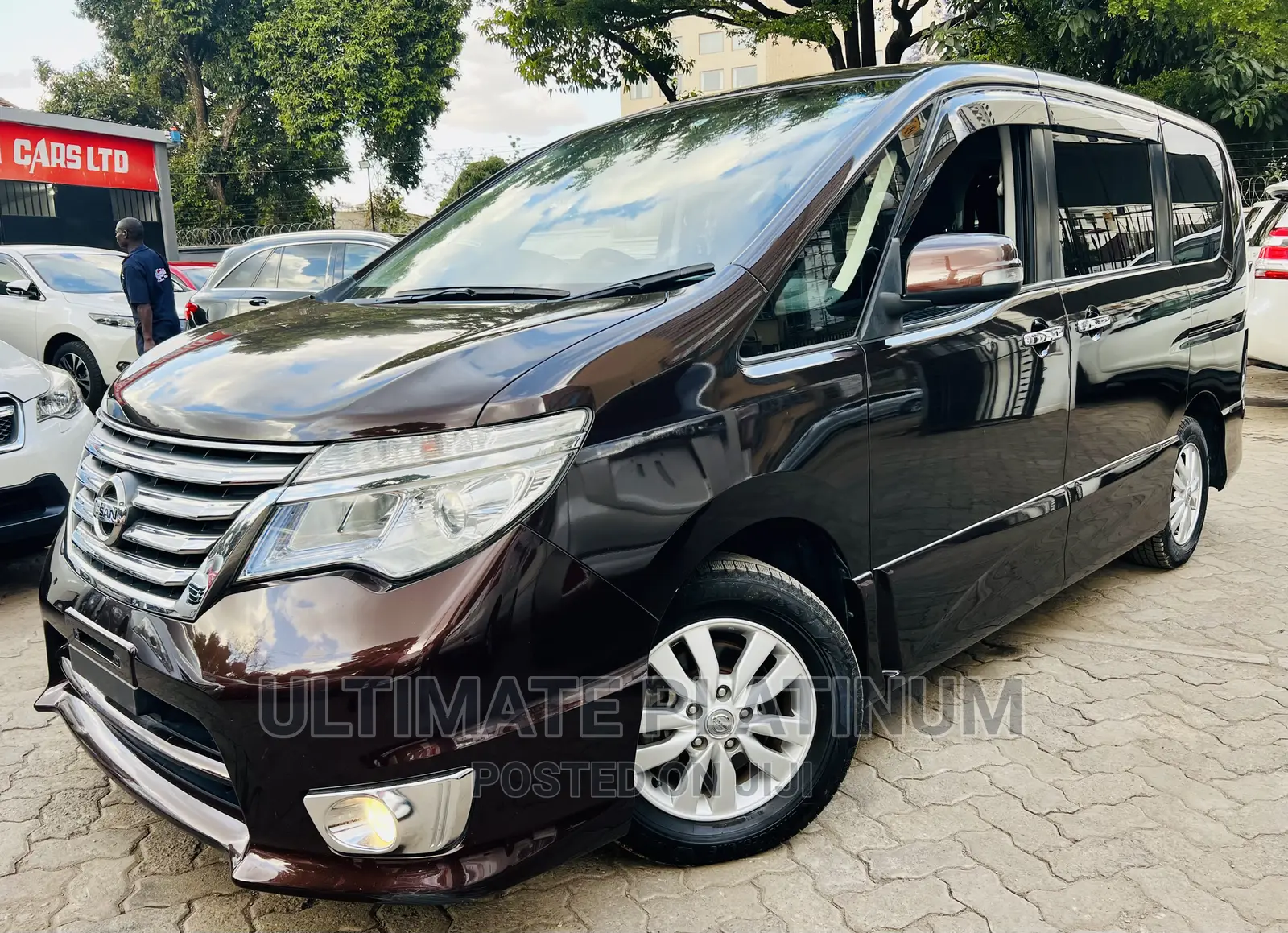 Nissan Serena 2016 Brown