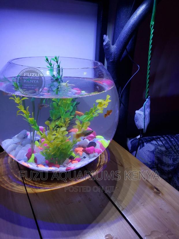 8 Litres Fish Bowl . - main view