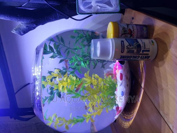 Fishbowl With Fish and Deco - thumbnail 2