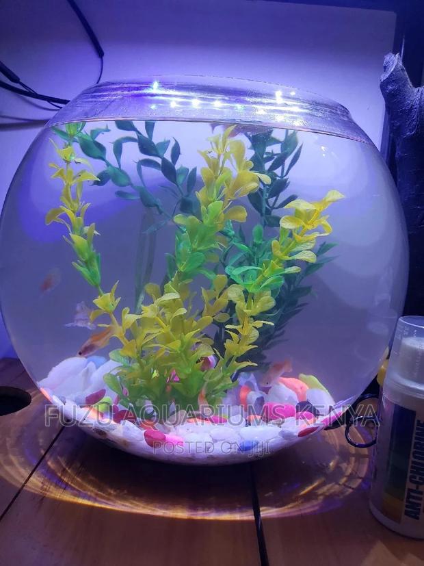 Fishbowl With Fish and Deco - main view