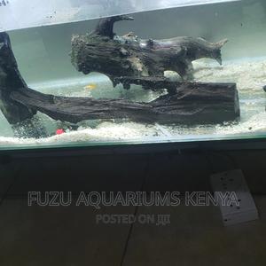 Driftwood Aquarium Driftwood