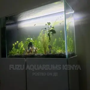 Complete Live Plant Aquarium, - Natural