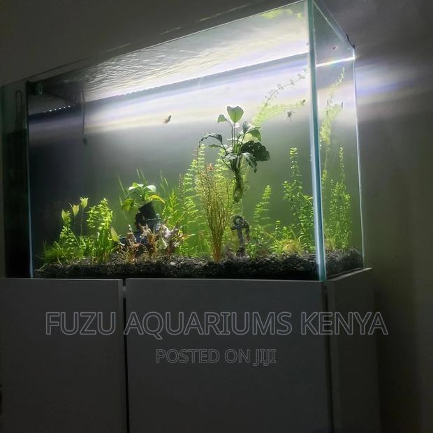 Complete Live Plant Aquarium, - Natural