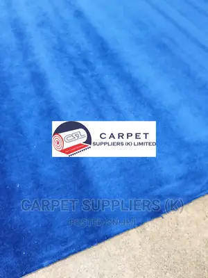 Blue Wall to Wall Carpet