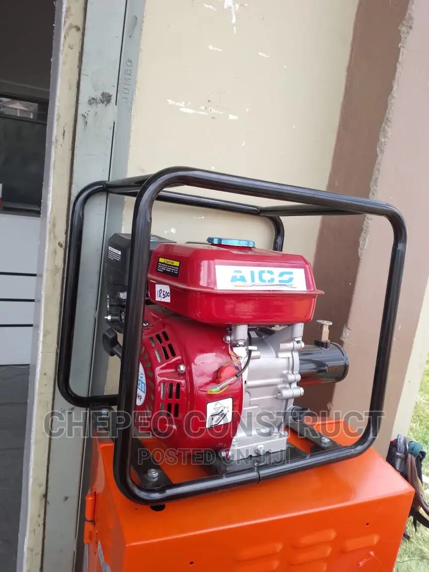 Poker Vibrator Petrol Engine