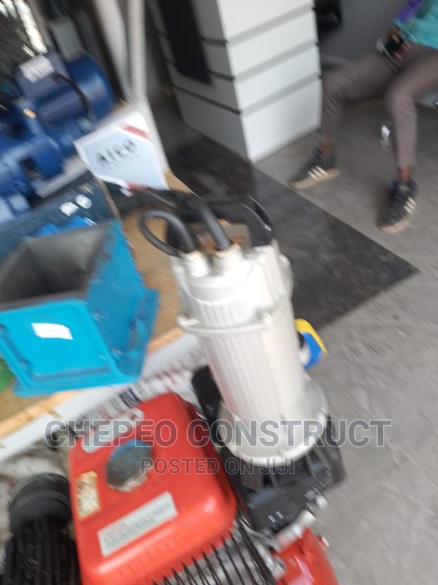 Italian Submersible Pump - main view