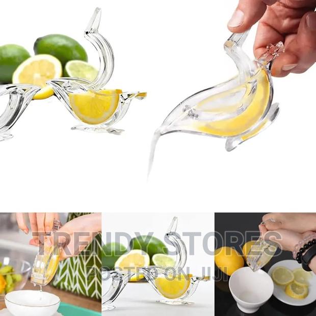 Lemon Manual Squeezer - main view