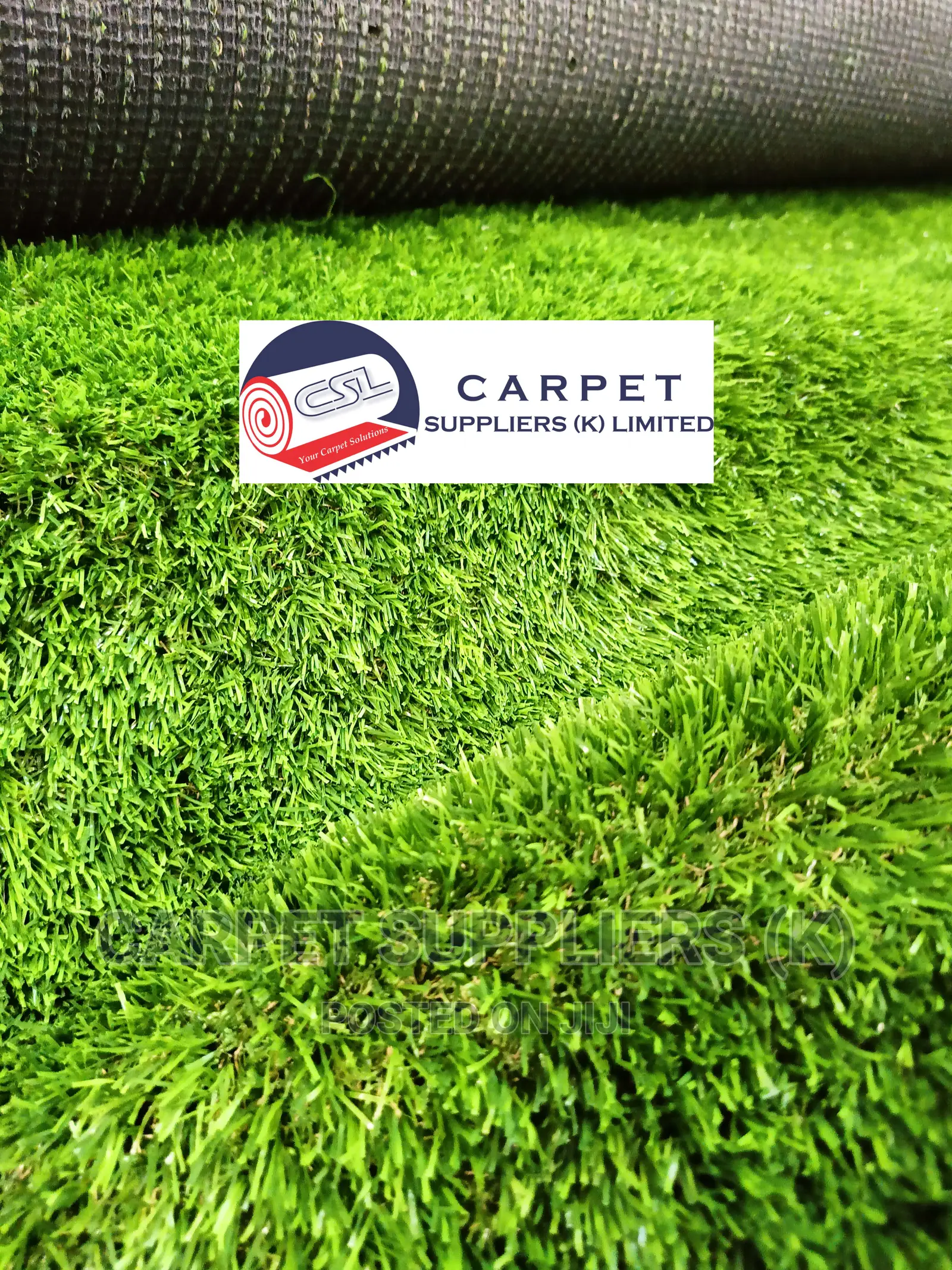 Turf Grass