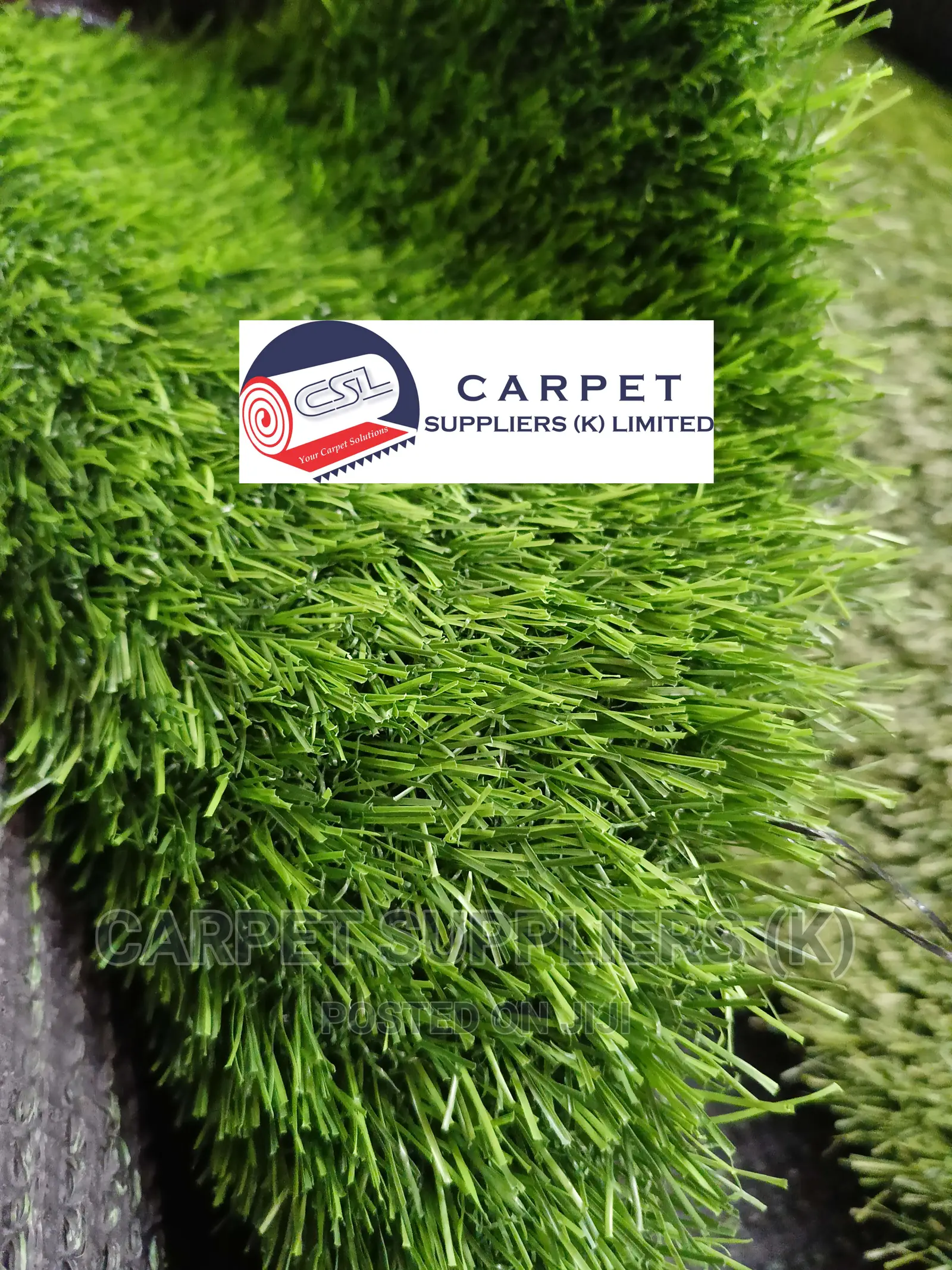 Grass Carpet Fluffy1