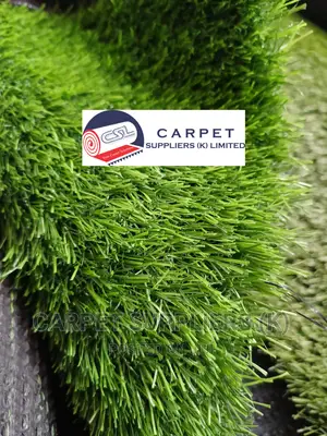 Grass Carpet Fluffy1