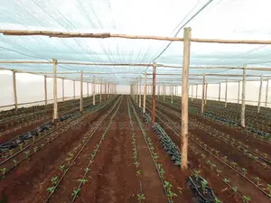 AGRICULTURAL Shade Nets (4m by 50m)