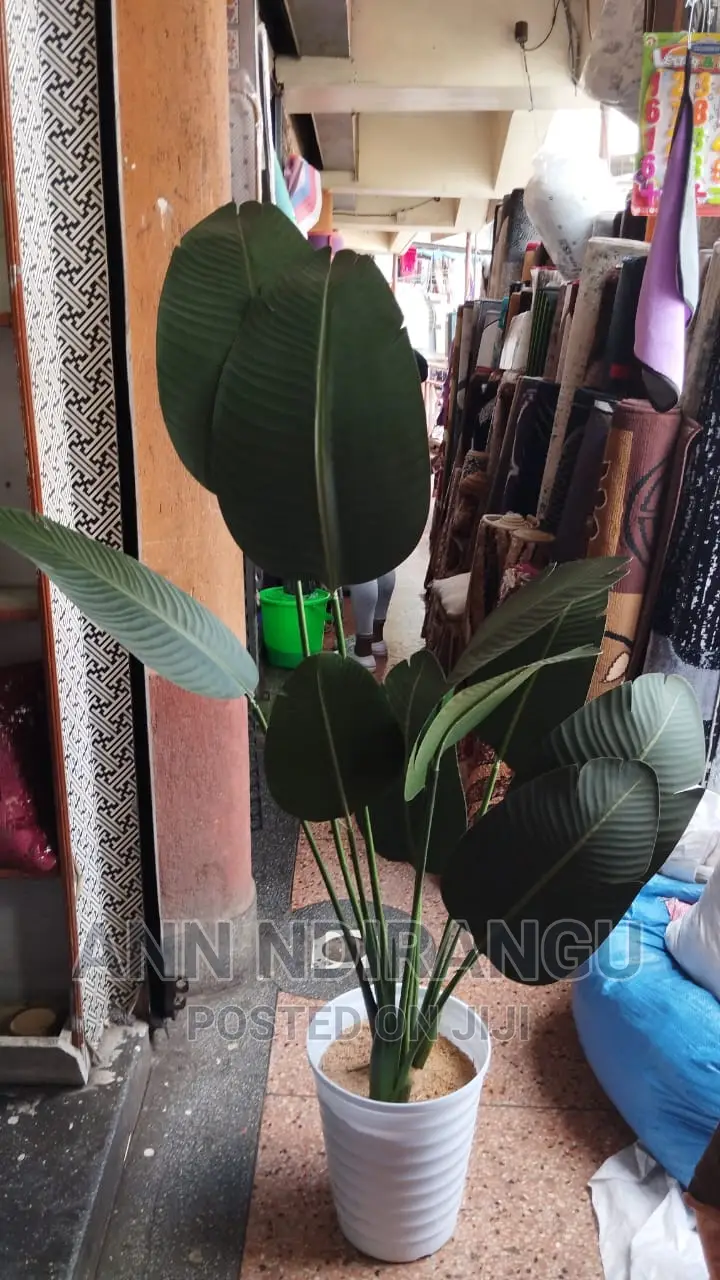 Artificial Plants in Nairobi Central Furniture, Ann Ndirangu Jiji.co.ke