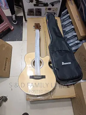 Ibanez Size 40 Acoustic Guitar Plus Padded Ibanez Bag